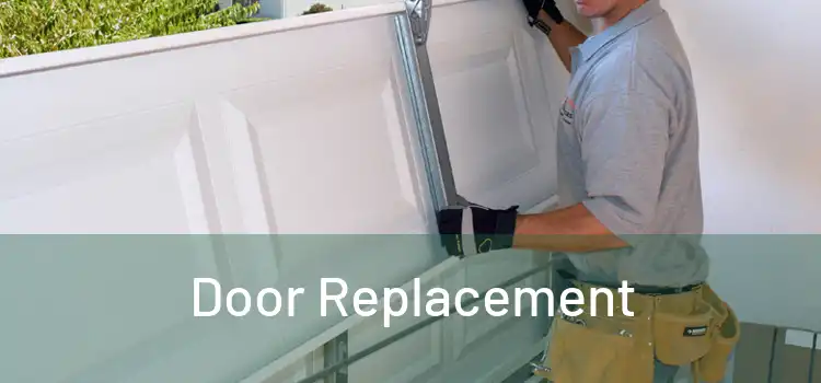  Door Replacement 